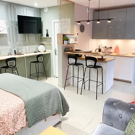 Studio Chic Et Romantique Lyon Villeurbanne Exterior photo